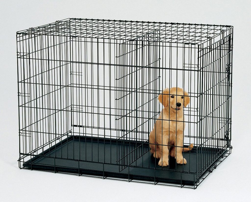 7 Things You Need To Know Before Buying a Dog Crate - Pets Grooming Prices